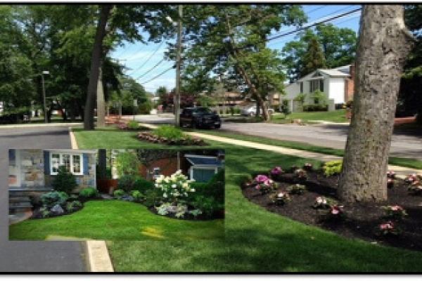 Landscaping and Trees Nassau county NY