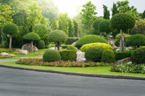 Garden Trees Landscaping Services