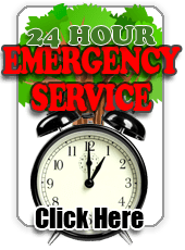 Emergency service available